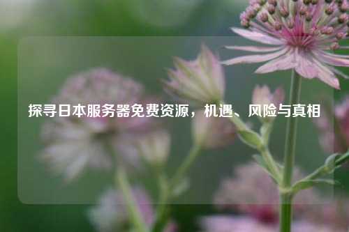 探寻日本服务器免费资源，机遇、风险与真相