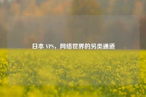 日本 VPS，网络世界的另类通道