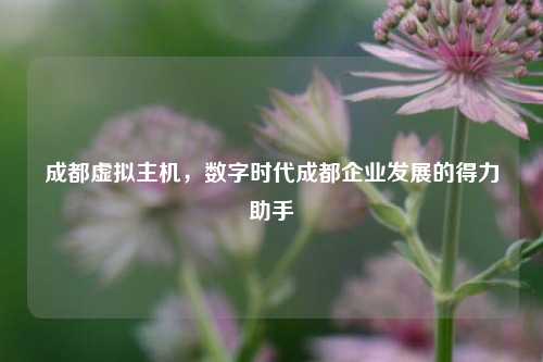 成都虚拟主机，数字时代成都企业发展的得力助手