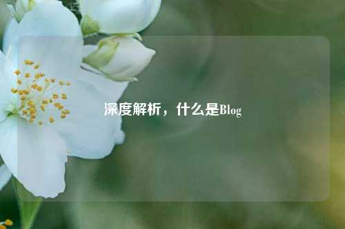 深度解析，什么是Blog