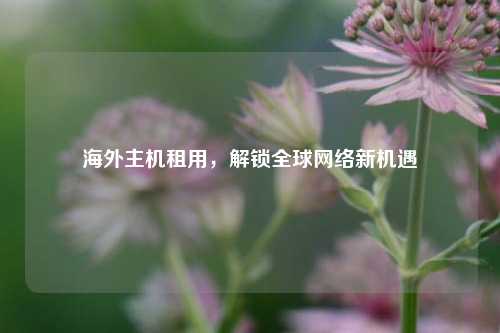 海外主机租用，解锁全球网络新机遇