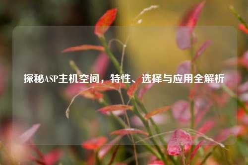 探秘ASP主机空间，特性、选择与应用全解析