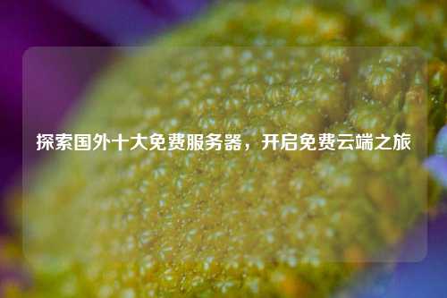 探索国外十大免费服务器，开启免费云端之旅