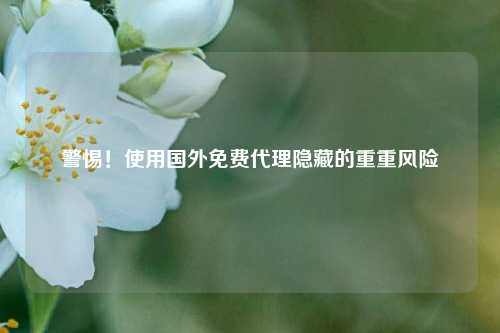 警惕！使用国外免费代理隐藏的重重风险