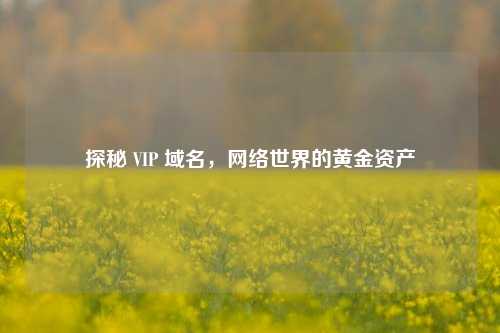 探秘 VIP 域名，网络世界的黄金资产