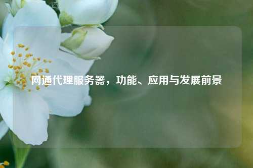 网通代理服务器，功能、应用与发展前景