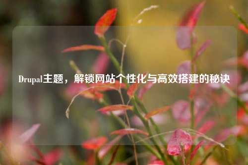 Drupal主题，解锁网站个性化与高效搭建的秘诀