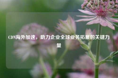 CDN海外加速，助力企业全球业务拓展的关键力量