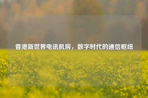 香港新世界电讯机房，数字时代的通信枢纽