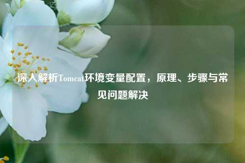 深入解析Tomcat环境变量配置，原理、步骤与常见问题解决