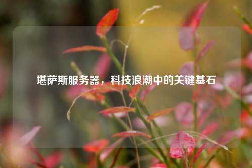 堪萨斯服务器，科技浪潮中的关键基石