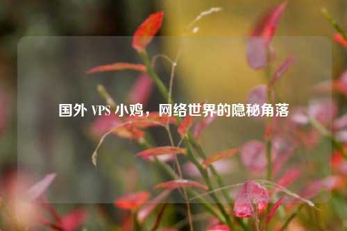 国外 VPS 小鸡，网络世界的隐秘角落