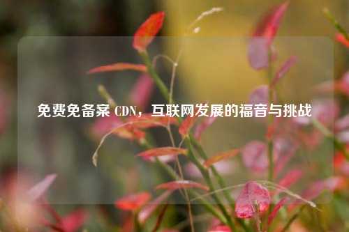 免费免备案 CDN，互联网发展的福音与挑战