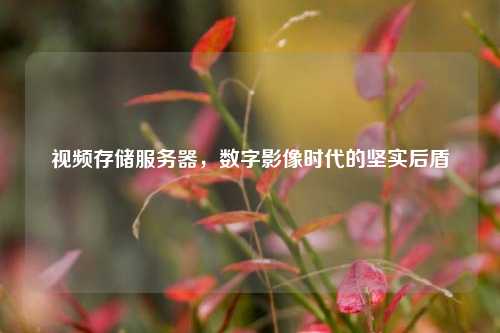 视频存储服务器，数字影像时代的坚实后盾