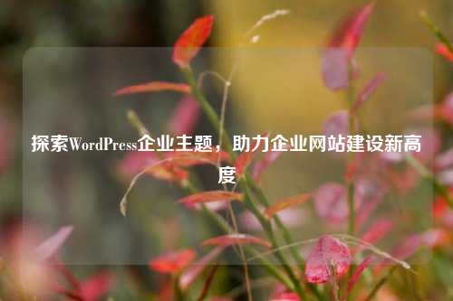 探索WordPress企业主题，助力企业网站建设新高度