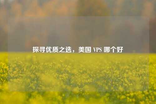 探寻优质之选，美国 VPS 哪个好