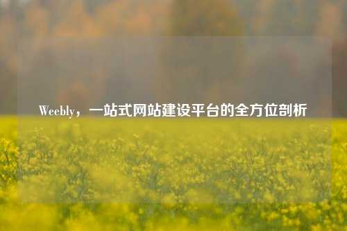 Weebly，一站式网站建设平台的全方位剖析