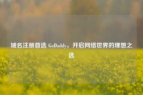 域名注册首选 GoDaddy，开启网络世界的理想之选