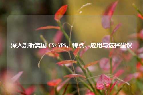 深入剖析美国 CN2 VPS，特点、应用与选择建议