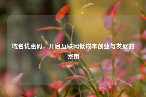 域名优惠码，开启互联网低成本创业与发展的密钥