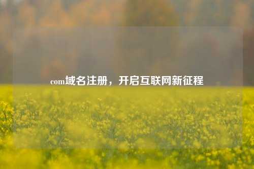 com域名注册，开启互联网新征程