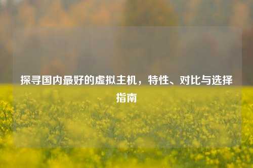 探寻国内最好的虚拟主机，特性、对比与选择指南