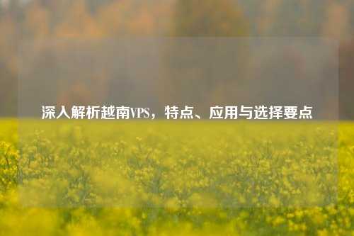 深入解析越南VPS，特点、应用与选择要点
