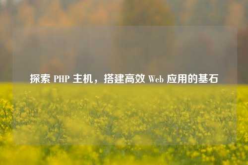 探索 PHP 主机，搭建高效 Web 应用的基石