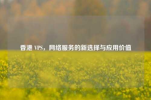 香港 VPS，网络服务的新选择与应用价值