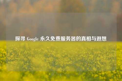 探寻 Google 永久免费服务器的真相与遐想