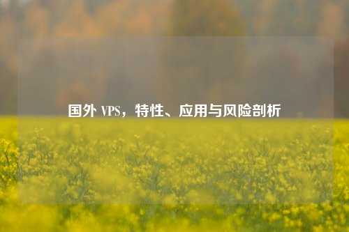国外 VPS，特性、应用与风险剖析