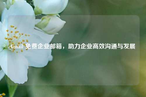 Gmail 免费企业邮箱，助力企业高效沟通与发展