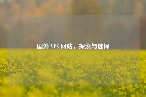 国外 VPS 网站，探索与选择