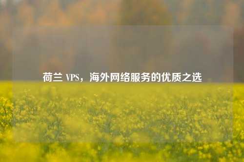 荷兰 VPS，海外网络服务的优质之选