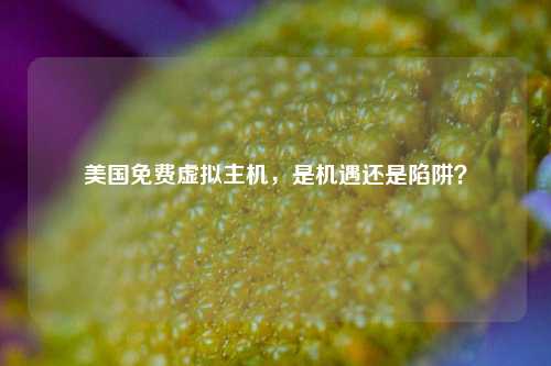美国免费虚拟主机，是机遇还是陷阱？