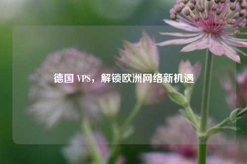 德国 VPS，解锁欧洲网络新机遇