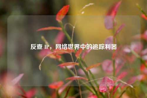 反查 IP，网络世界中的追踪利器