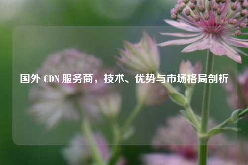 国外 CDN 服务商，技术、优势与市场格局剖析