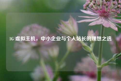 1G 虚拟主机，中小企业与个人站长的理想之选