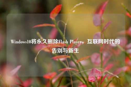 Windows10将永久删除Flash Player，互联网时代的告别与新生