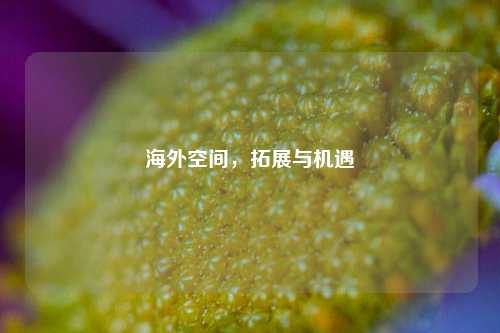 海外空间，拓展与机遇