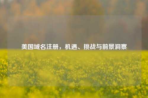 美国域名注册，机遇、挑战与前景洞察