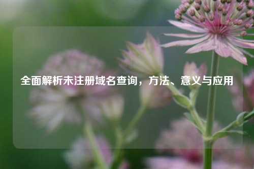 全面解析未注册域名查询，方法、意义与应用