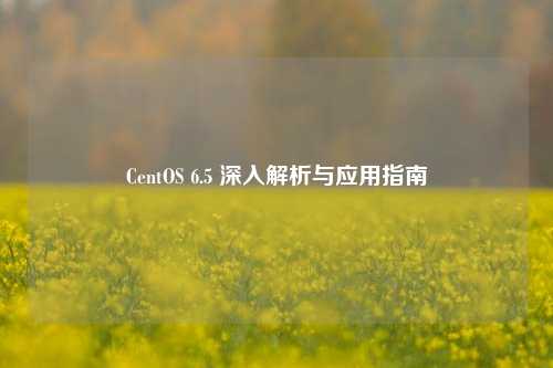 CentOS 6.5 深入解析与应用指南