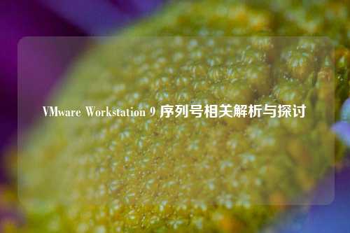 VMware Workstation 9 序列号相关解析与探讨