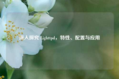 深入探究 Lighttpd，特性、配置与应用