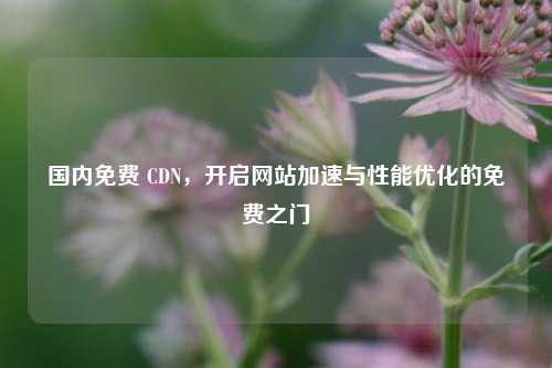 国内免费 CDN，开启网站加速与性能优化的免费之门