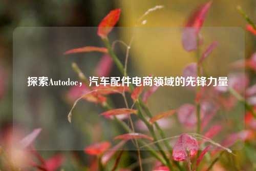 探索Autodoc，汽车配件电商领域的先锋力量