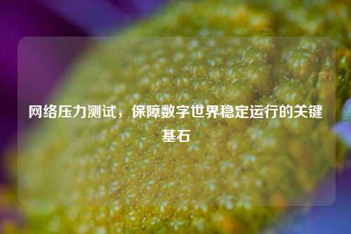 网络压力测试，保障数字世界稳定运行的关键基石