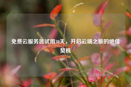 免费云服务器试用30天，开启云端之旅的绝佳契机